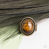 Stone Terrarium - Brass Ring - Paparazzi Accessories