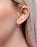 Fitting Room Fashion - Copper Complete Look  - Paparazzi Accessories