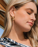 Sea Horse Statement - Gold Earrings - Paparazzi Accessories