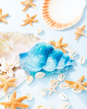 Smooth Seashell - Blue Hair Clip - Paparazzi Accessories Hair Clip Bedazzle Me Pretty Mobile Fashion Boutique