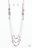 seasonal-sensation-purple-necklace-paparazzi-accessories
