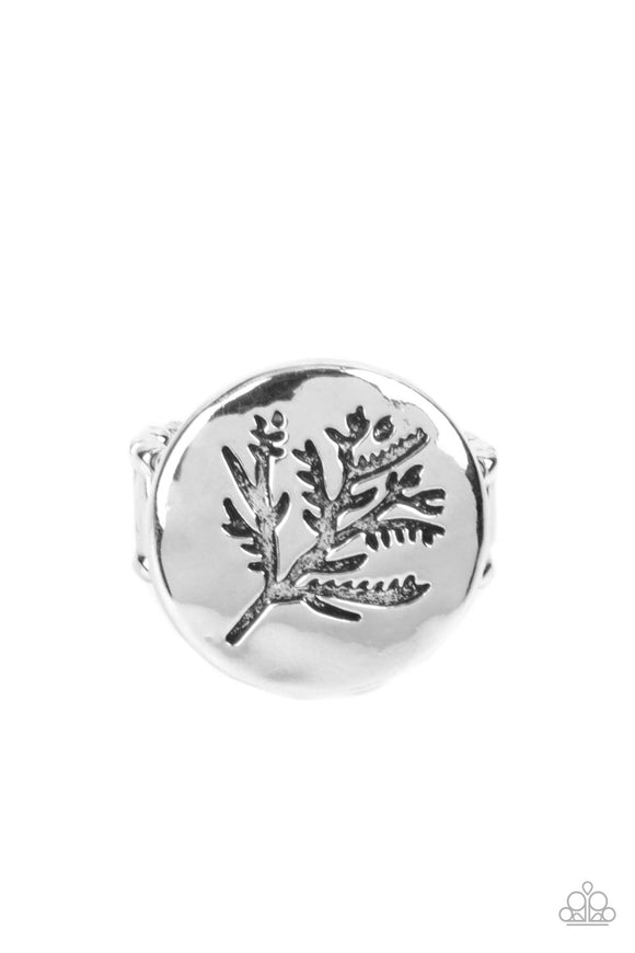 branched-out-beauty-silver-ring-paparazzi-accessories