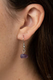 Gemstone Guru - Purple Necklace - Paparazzi Accessories