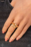 Framed Finish - Gold Ring - Paparazzi Accessories Ring Bedazzle Me Pretty Mobile Fashion Boutique