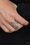 Perennial Daydream - Brown Ring - Paparazzi Accessories Ring Bedazzle Me Pretty Mobile Fashion Boutique