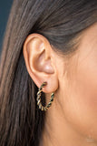 Plainly Panama - Brass Earrings - Paparazzi Accessories Earrings Bedazzle Me Pretty Mobile Fashion Boutique