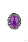 Stone Terrarium - Purple Ring - Paparazzi Accessories Ring Bedazzle Me Pretty Mobile Fashion Boutique